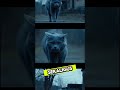 si kucing abu abu #catcontent #catlovers #fiksi #aicat #kucinglucu #catstory #catgod #animal