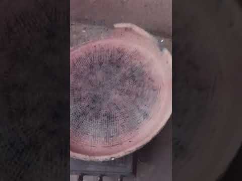 حذاري وحدة كانت تطيب نحات الطابونة وليدها صغير جا يجري بالحفى تحرق