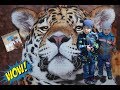 Ленинградский Зоопарк Жираф Тигры Львы Медведь Развивающее видео Часть 2 Leningrad Zoo Tigers Lions