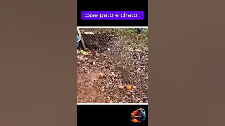 Fazendeiro Cumprimenta Pato e Leva Resposta Triste! 🦆👨‍🌾🤣
