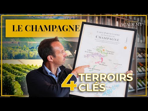 Les 4 Grandes Régions de la Champagne 🍇