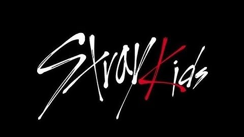 Stray Kids "땡(FREEZE)" Video (Fierce Firefly Remix) 