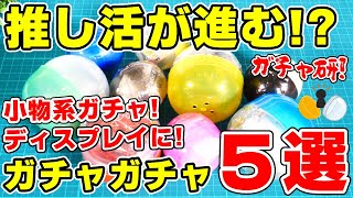 噂のガチャ５選！オタクのお気持ち代弁クリップ？証言台×会見台マスコットなど！