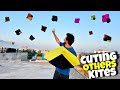 Cuting Others Kites On Roftop || Zalmi Kite Fly On Public Demand 🤩|| Touch And Go Kites Cutting 🥵!