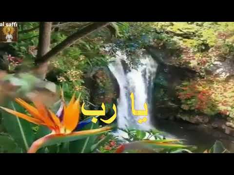 الشيخ سيد النقشبندي يارب كرمك علينا يارب نصرك معانا