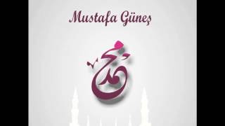 Mustafa Güneş Abdulkadir Kükredi 2013