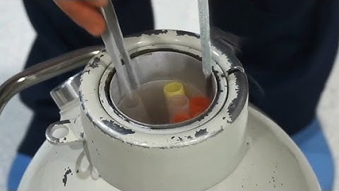 Cryotop® SC Storage - Vitrification & Warming