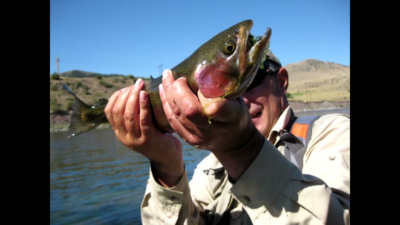 Моё знакомство с Миссури (штат Монтана).