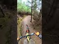 Mega Track Golfie 🤟 #mtb #mountainbiking