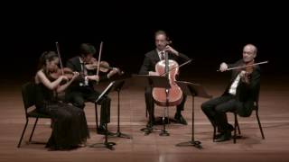 Video thumbnail of "Borodin: Quartet No. 2 in D major for Strings, I. Allegro moderato"