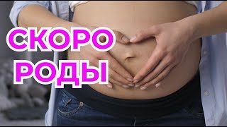 Доношенная Беременность 39-40 Недель Беременности.