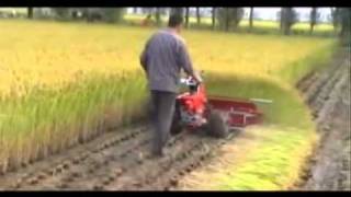 WHEAT, RICE & TILLING...1 MACHINE MULTI FUNCTIONS...