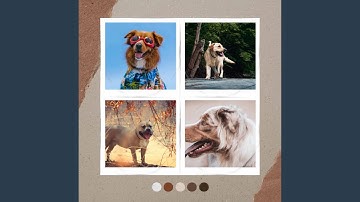 Remarkable Backdrops for Relaxing Puppy Days