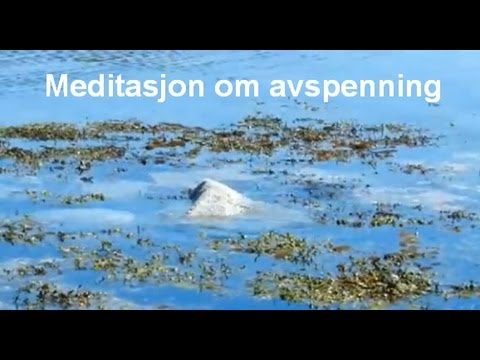 Avspenning - en guidet meditasjon