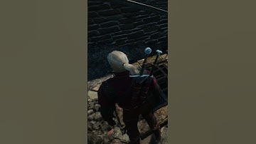 The Witcher 3 How To Find A Secret Spy Quest #shorts