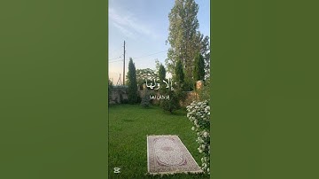 #المنشاوي سورة الحجر