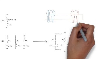 Cable Theory