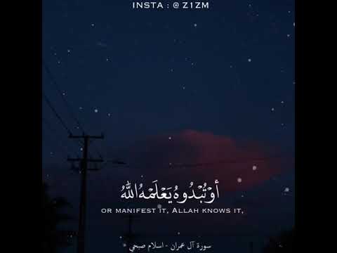 قل إن تخفوا ما في صدوركم أو تبدوه يعلمه الله اسلام صبحي