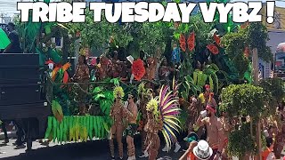 Tribe Carnival Tuesday 2024