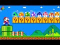 Can mario collect more cusotm mushrooms characters in new super mario bros wii  game animation