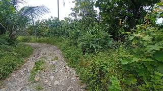 Video Download