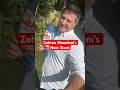 Zohran Mamdani S Next Stunt Shorts Comedy Zohranmamdani Satire Impression Parody 