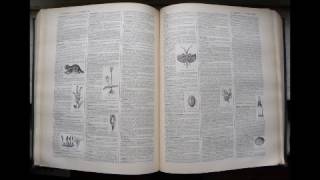 Anthropophagie | Dictionnaire français audio