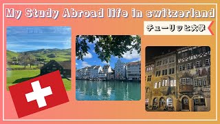 スイスドイツ語・チューリッヒ 方言辞典 /リボン付き/ハードカバー スイスドイツ語・チューリッヒ 方言辞典 /リボン付き/ハードカバー
