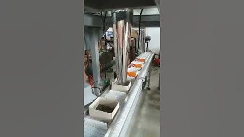 Automatic Multihead Weighing Filling for Trays