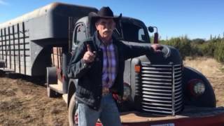 Bobby Kerr Mustang Poem 2017