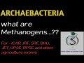 Archaebacteria and their types