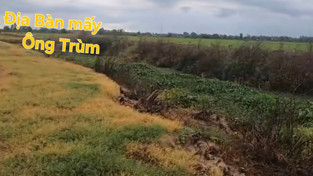 Mạo Hiểm Vào Đây Câu.Thật Đáng. @tranchungcuchi