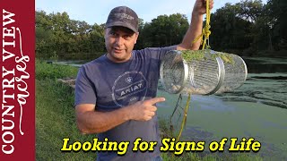 Do we have any fish left alive in our Pond?   Let's find out.  Update on everything about the pond.