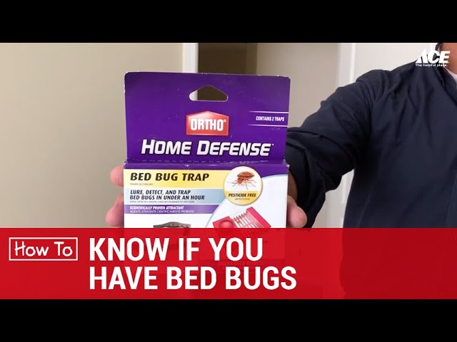 Home Defense Max Bed Bug Trap (2-Pack)