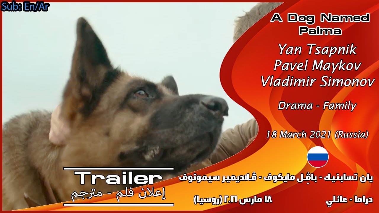 A Dog Named Palma 2021 Official Trailer YouTube a-dog-named-palma-2021-official-trailer-youtube