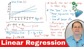 Linear Regression in Statistics Explained