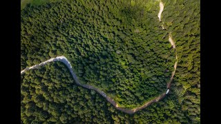 Off roading στη Μενδενίτσα, το καταπράσινο χωριό της Φθιώτιδας