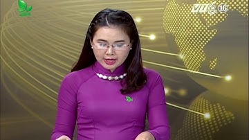 Tác hại của thuốc bảo vệ thực vật đối với con người và môi trường