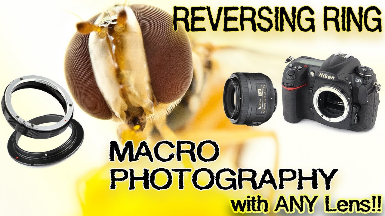Reverse Lens Reversing Ring Macro Photography...with ANY lens. YouTube