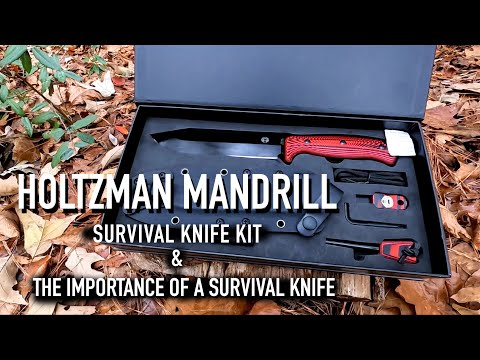 Holtzman Mandrill Survival