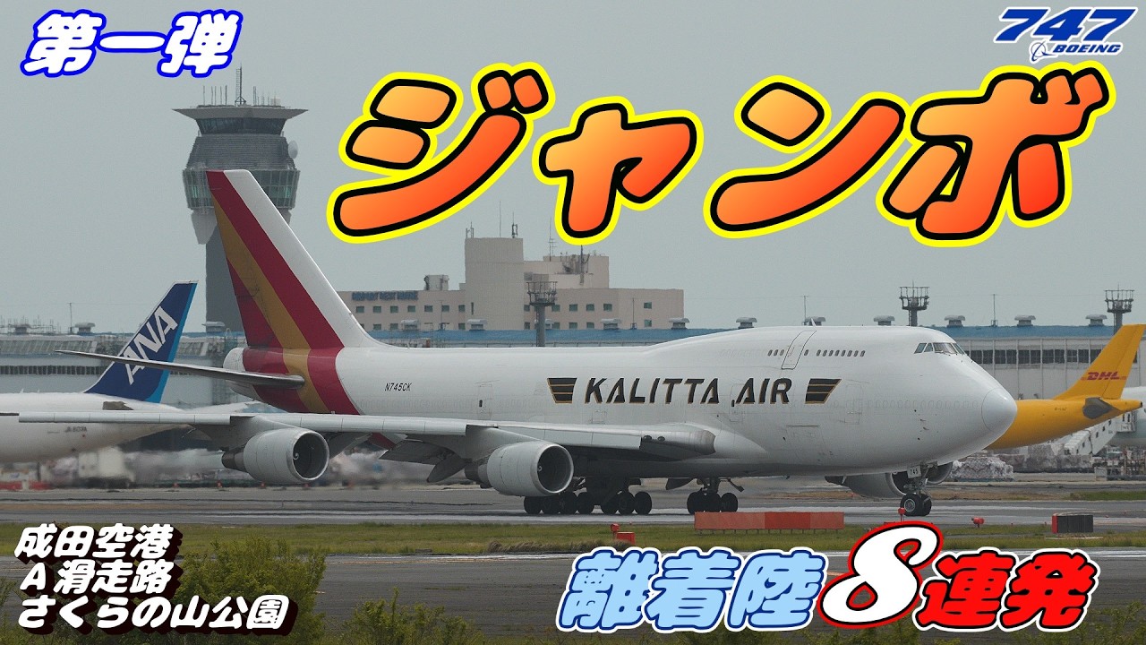 さくらページ 4K】成田空港 さくらの山公園 Aランに着陸するジャンボ（Boeing747）6