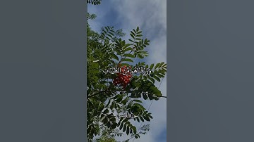 وَلَقَدْ كَرَّمْنَا بَنِي آدَمَ || سورة الإسراء || علي جابر