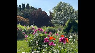 Painting a Beautiful Garden Landscape - Watercolor Tips and Techniques