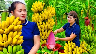 青バナナを早く熟させる方法🍌｜収穫から販売まで🏡 - YouTube