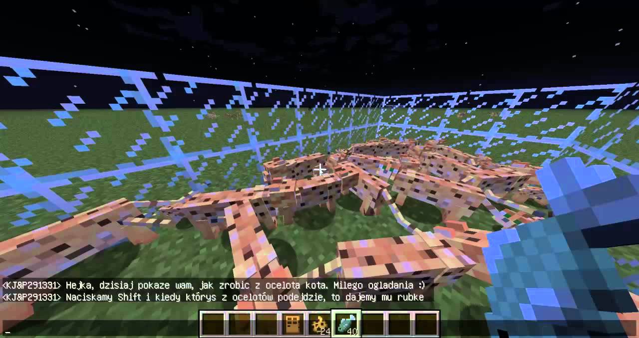 Minecraft Jak Zrobić Z Ocelota Kota Youtube