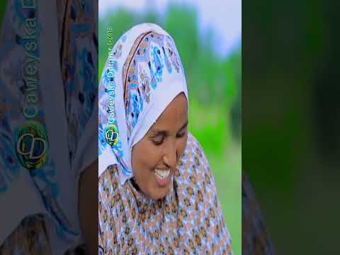 Dhaanto Cusub L Lafaciise L Bishaar Awal L Muqaalo Hore 2025