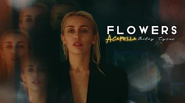 Flowers, Miley Cyrus - Acapella
