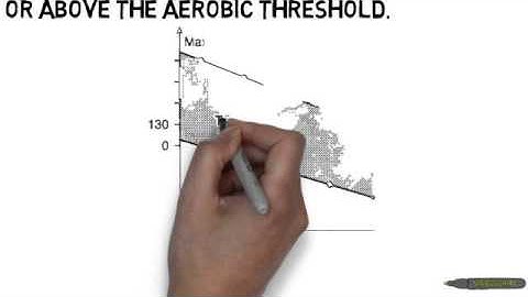 HSC PDHPE Principles of Training