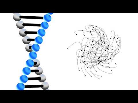 IEG4   Complexity made simple