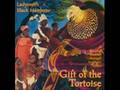 The Lion Sleeps TonightLadysmith Black Mambazo